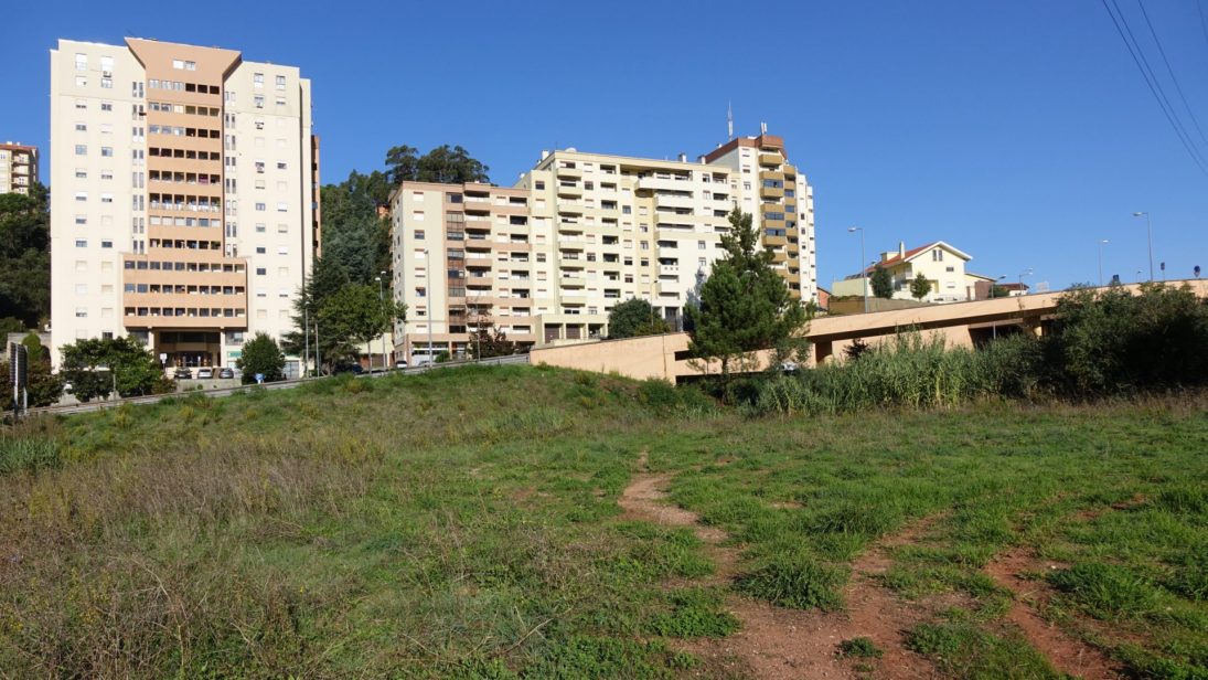 Coimbra vai ter um parque canino na Av. Elísio de Moura