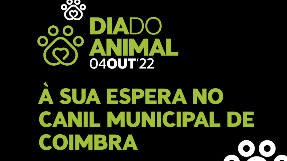 CM de Coimbra assinala Dia Mundial do Animal com inauguração de abrigo para gatos e exposição de animais para adoção