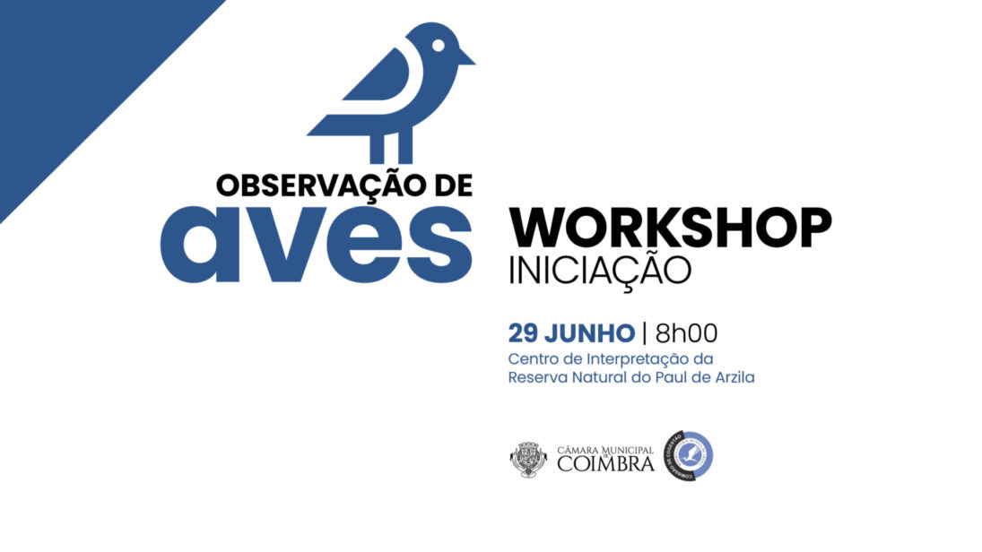 CM de Coimbra promove workshop de observação de aves no sábado na Reserva Natural do Paúl de Arzila