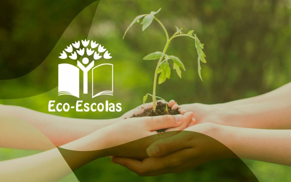 Eco Escolas envolve no próximo ano letivo 32 estabelecimentos de todos os graus de ensino