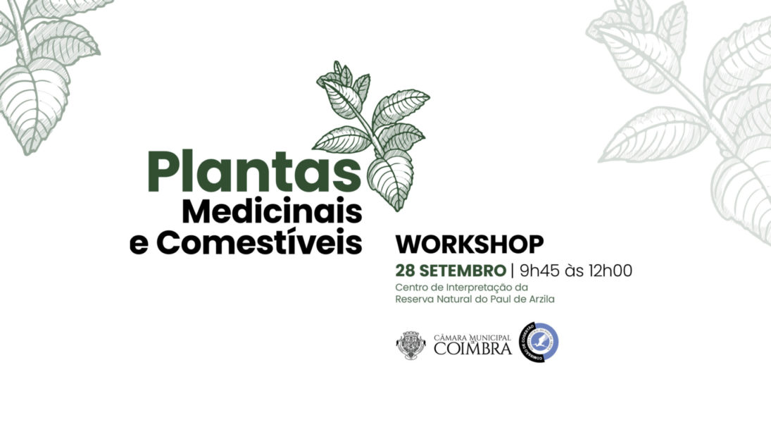 CM de Coimbra promove workshop sobre plantas comestíveis e medicinais no dia 28 de setembro