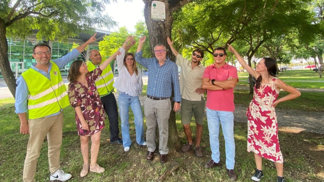 Coimbra participa na campanha europeia #EUTreeTag de valorização das árvores com 5 exemplares