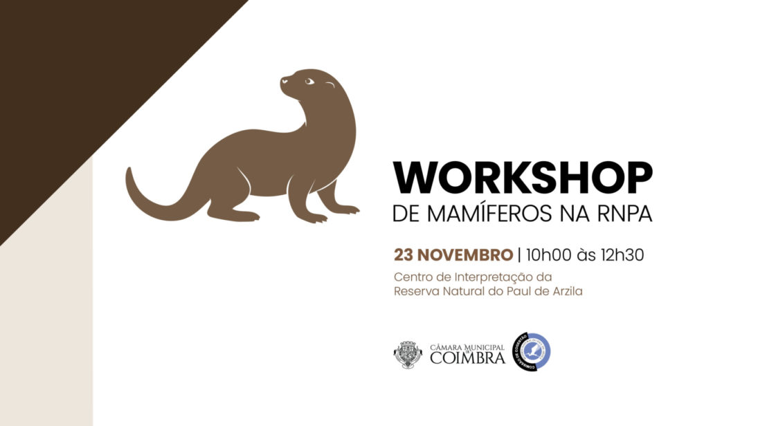 CM de Coimbra promove workshop sobre mamíferos dia 23 na Reserva Natural do Paúl de Arzila