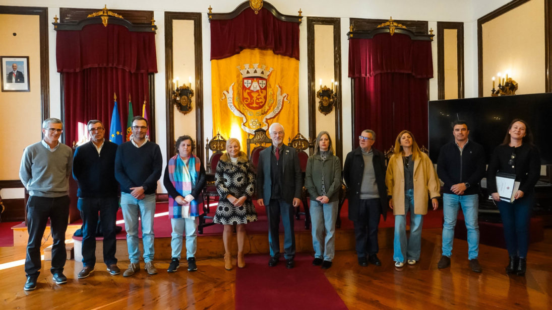 CM de Coimbra investe quase 400 mil euros para plantar árvores em caldeiras vazias