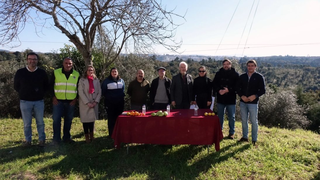 CM de Coimbra formalizou últimos contratos com residentes para a utilização das Hortas do Planalto do Ingote